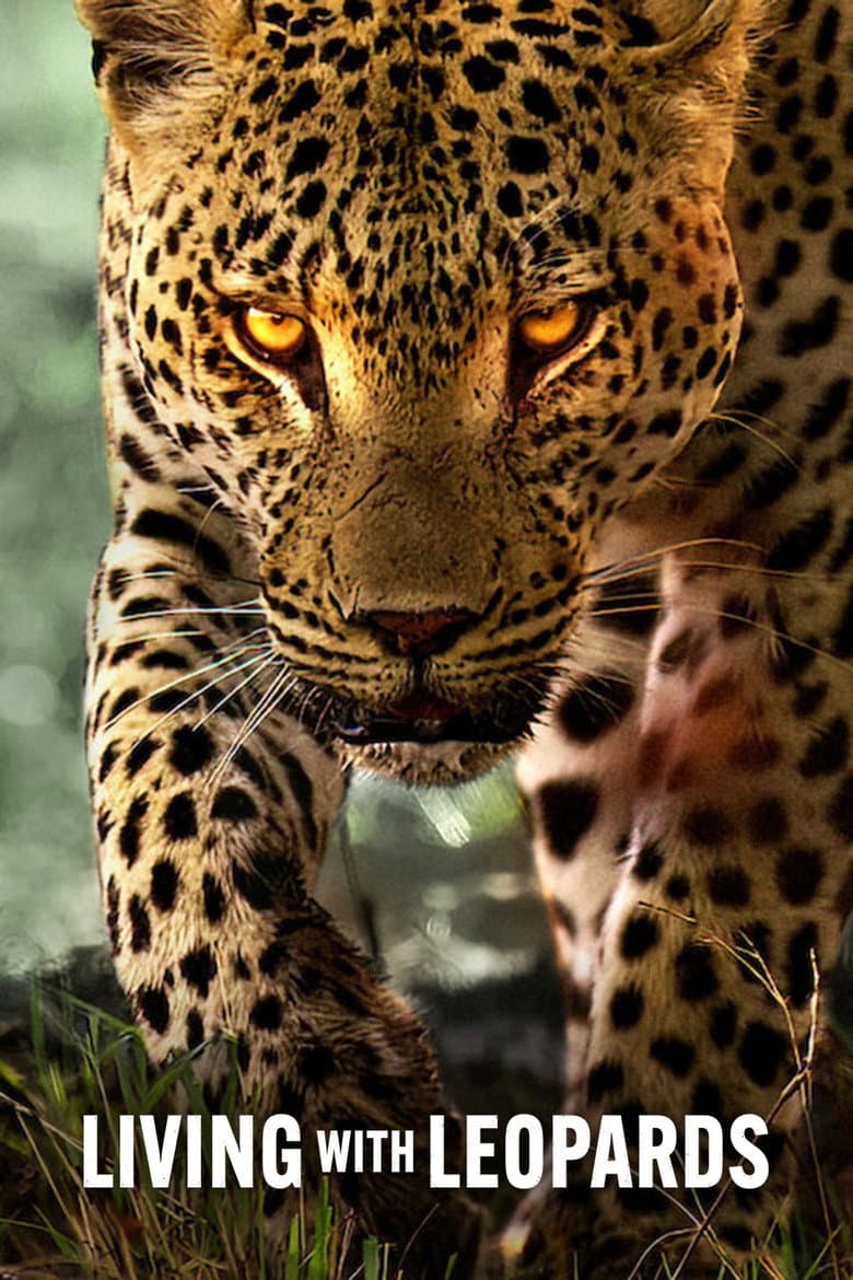 Poster Living with Leopards (2024)