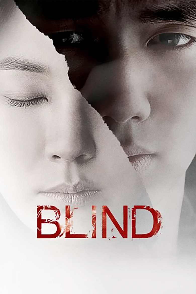 Poster Blind (2011)